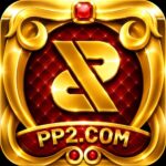pp2.com